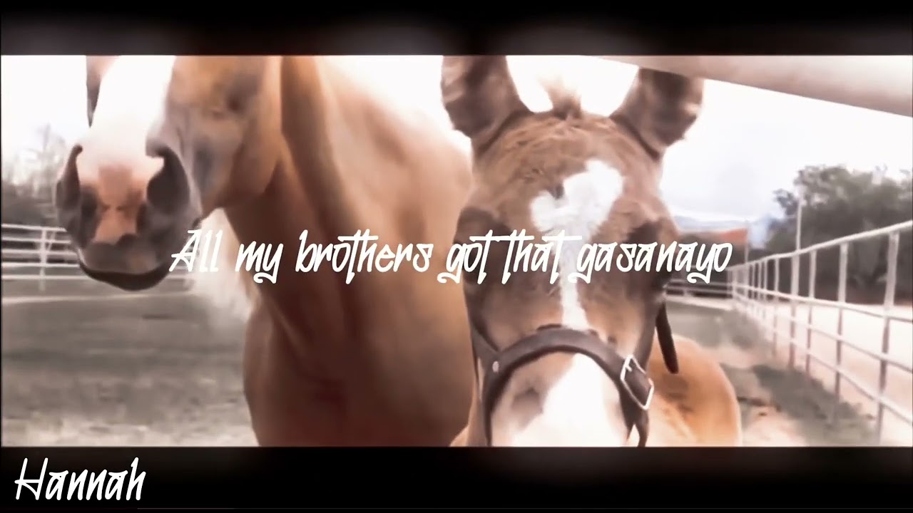 Rockstar (summer riders ) did an collab with equine community