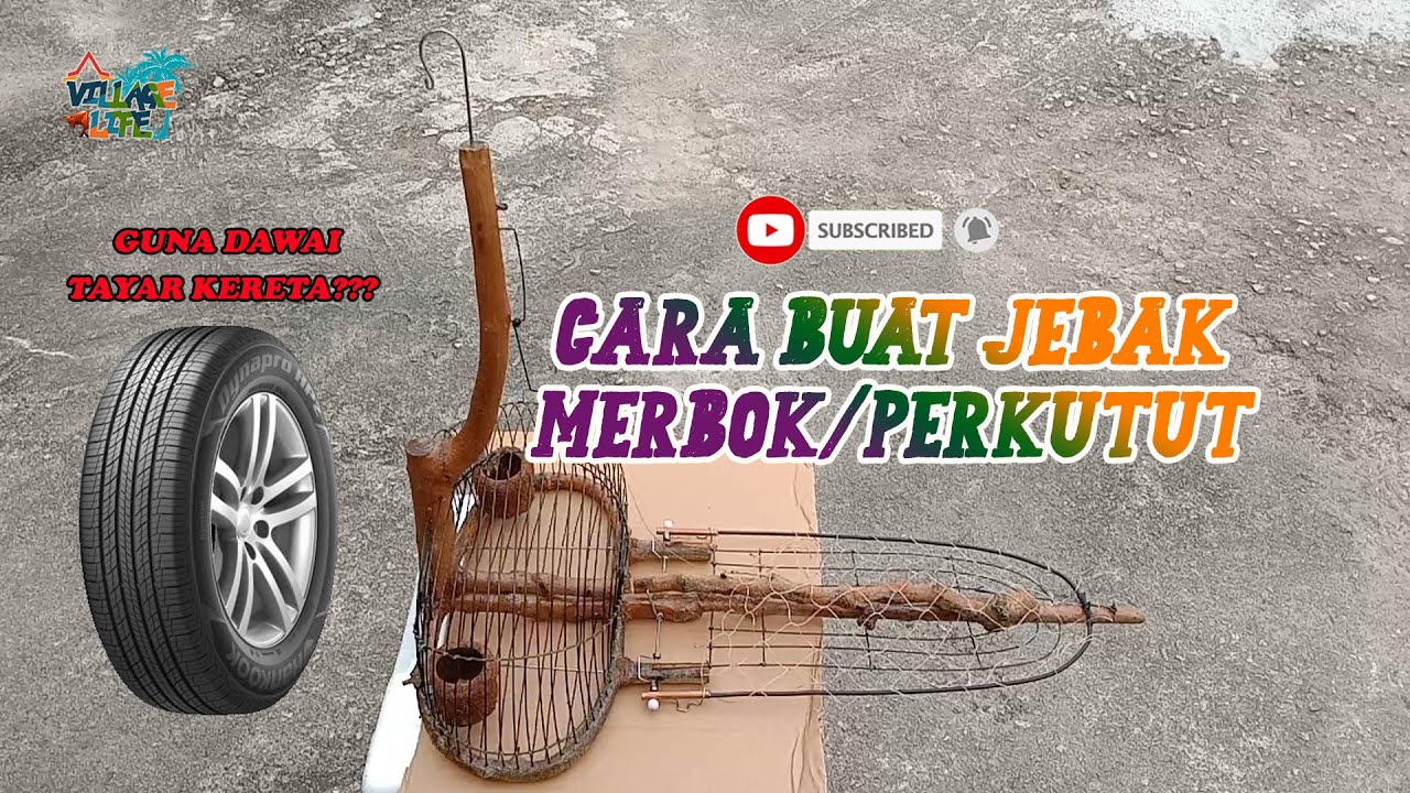 CARA MEMBUAT JEBAK MERBOK,PERKUTUT- VILLAGE LIFE
