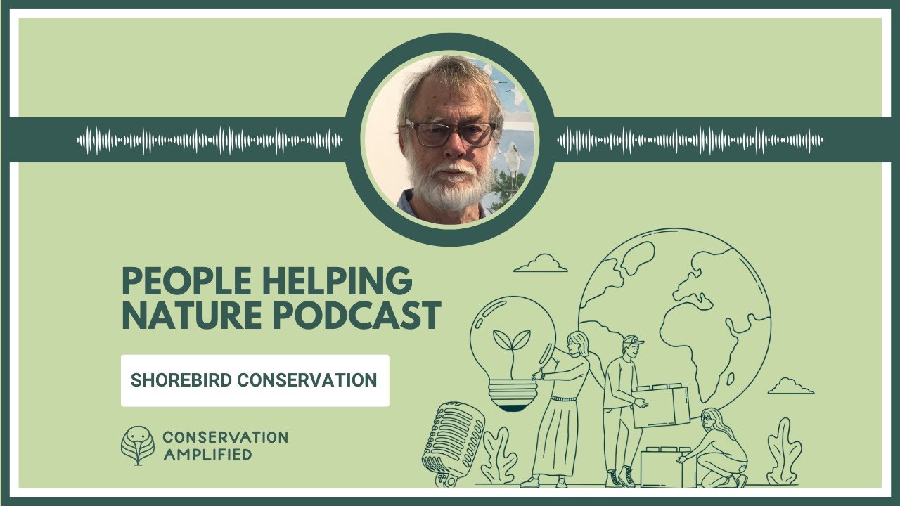 Shorebird Conservation: Connecting Habitats, Countries & People (EP35 with Keith Woodley)