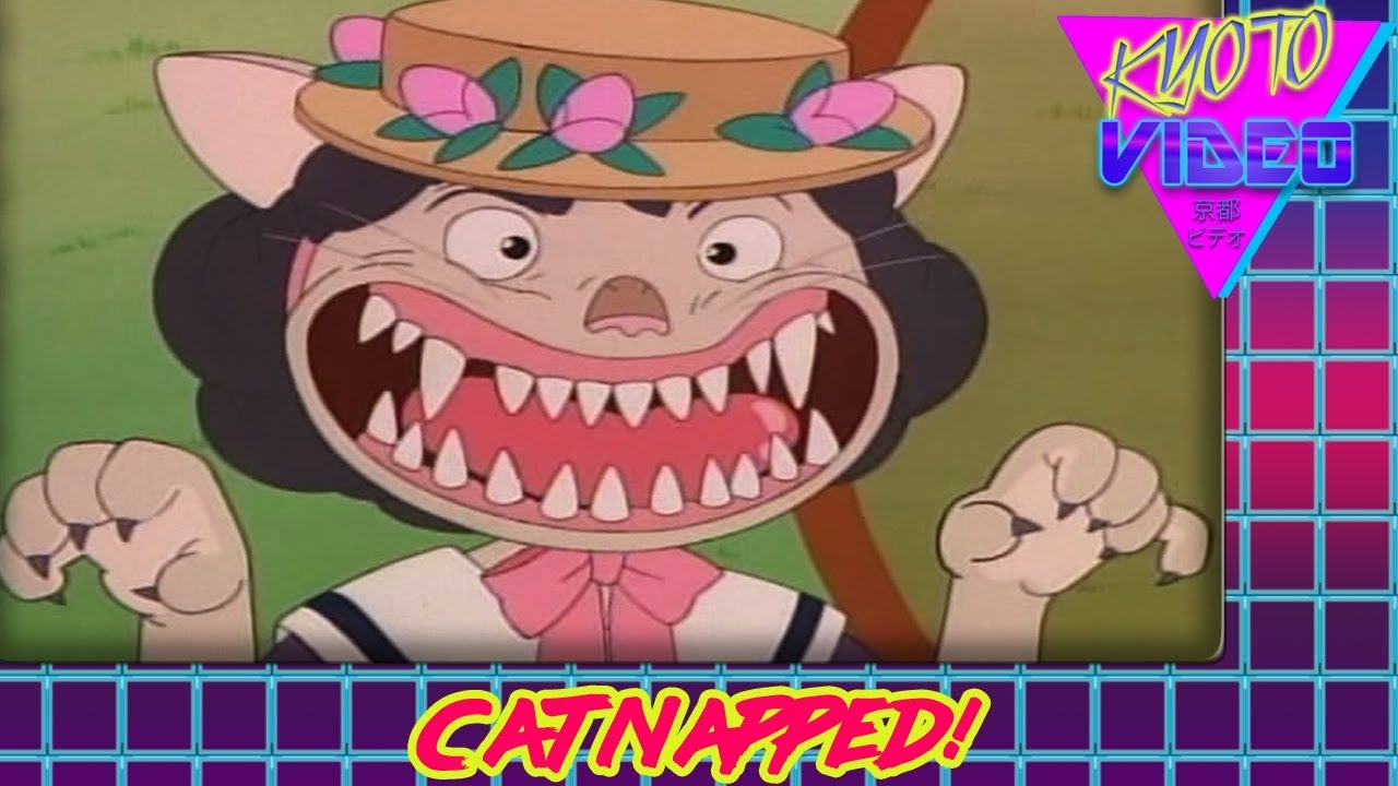 Catnapped! | KYOTO VIDEO