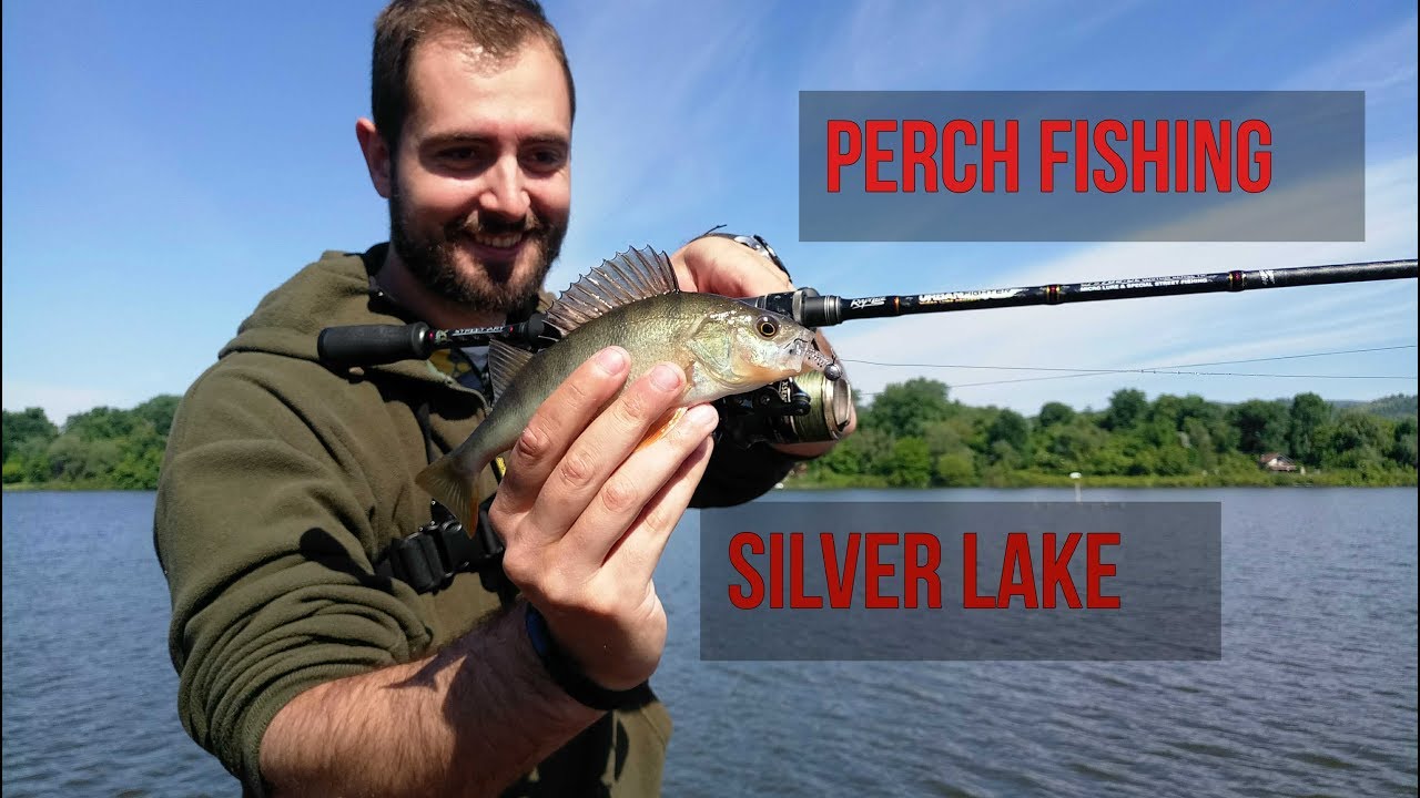 Perch Fishing on Silver Lake / Ribolov bandara na Srebrnom jezeru