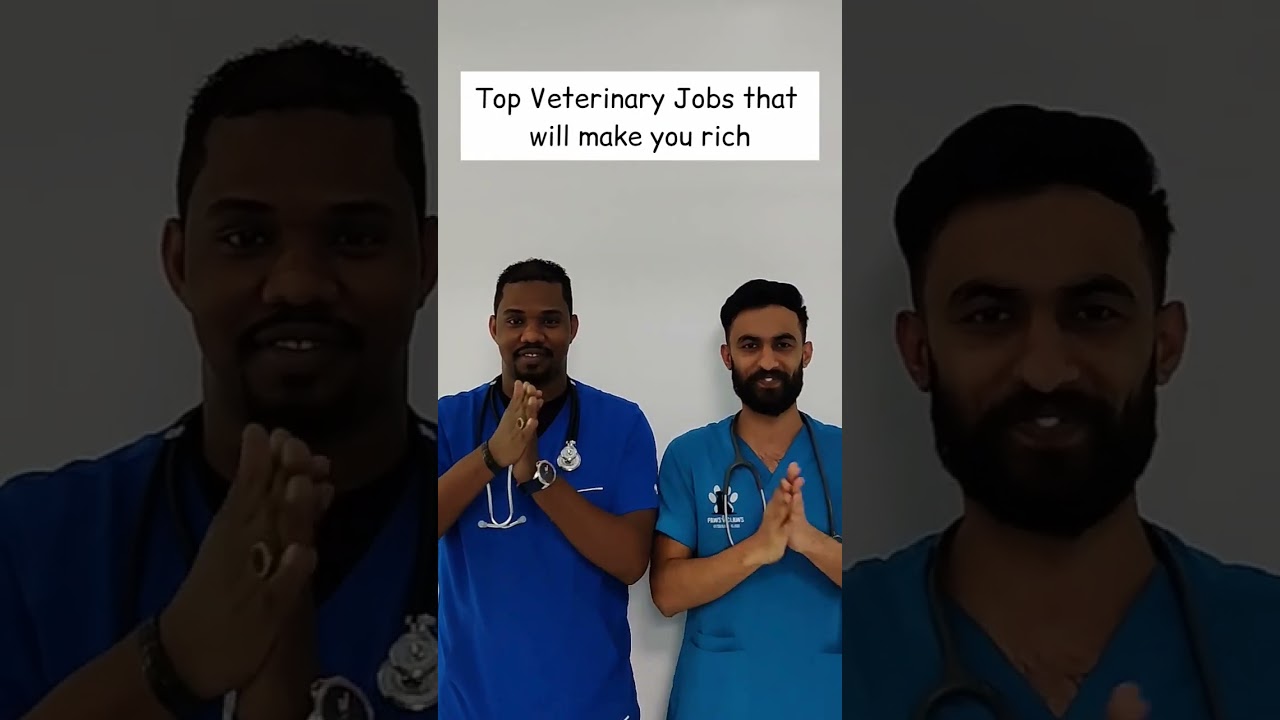 Top Veterinary Jobs that will make you rich #veterinarian