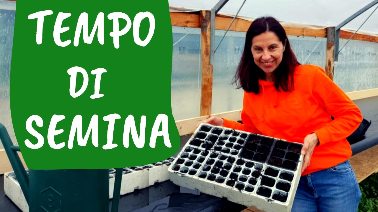 Come fare SEMENZAIO: le regole base