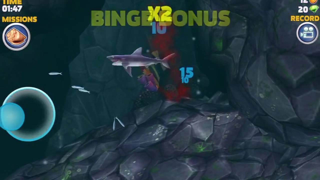 Hungry shark