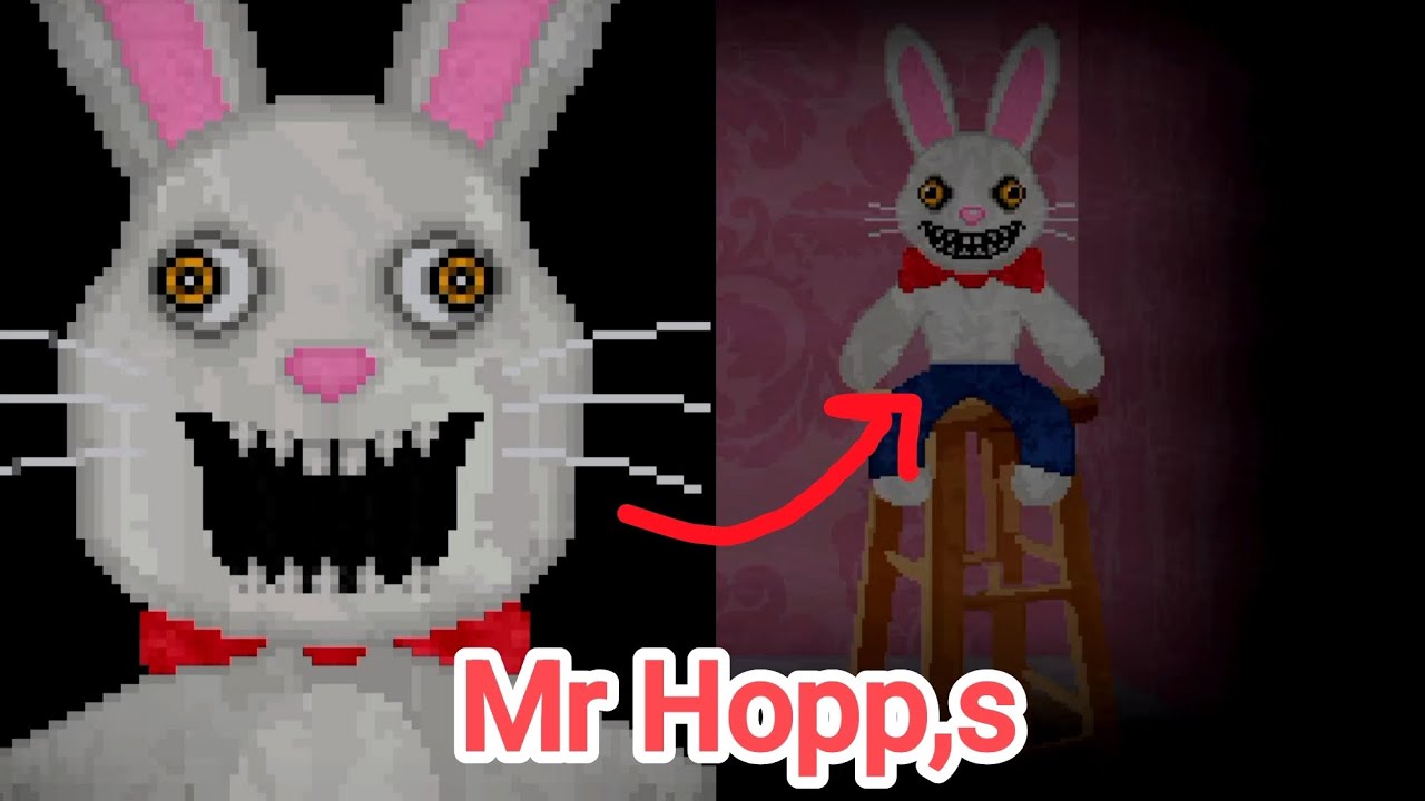 Mr Hopp,s