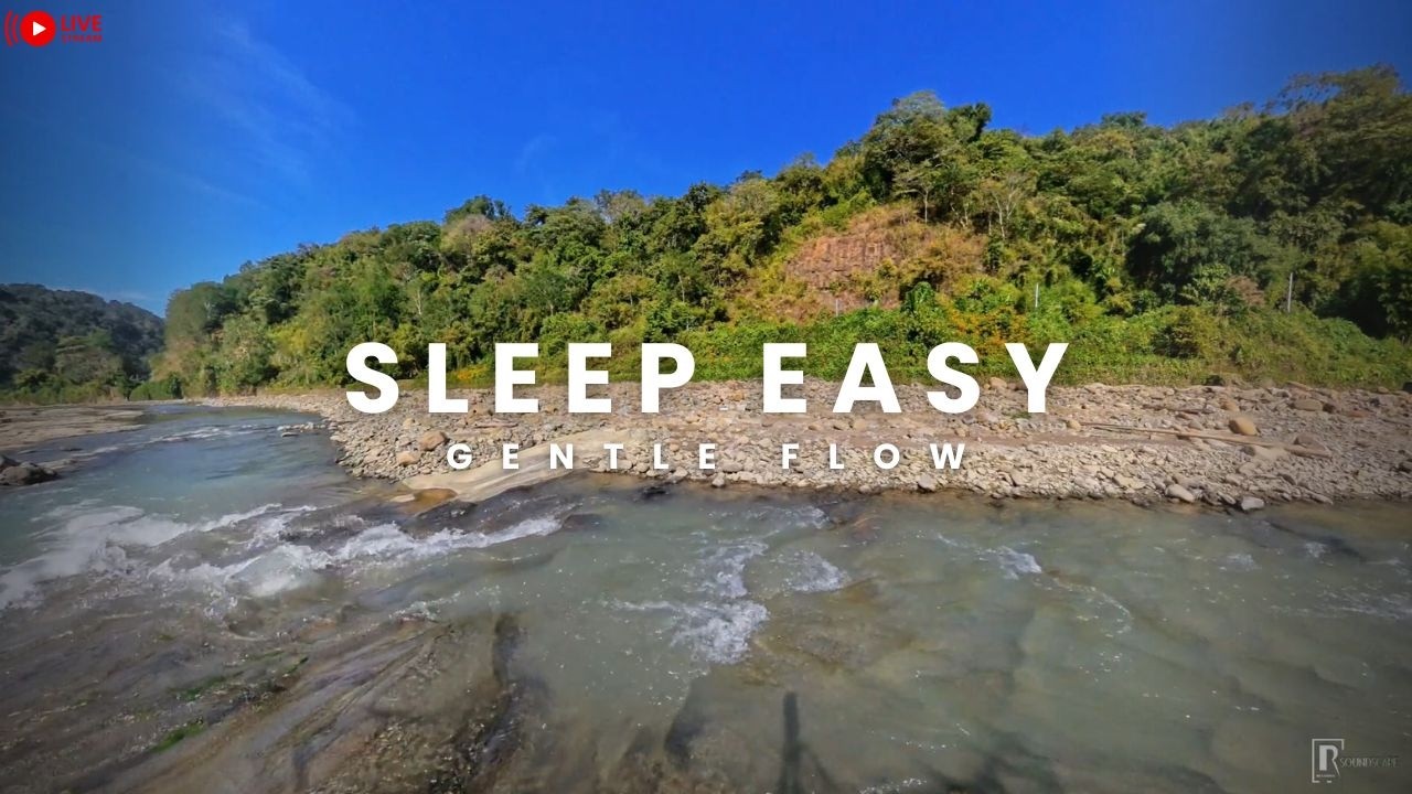Long River Flowing Ambience | Nature White Noise for Sleep