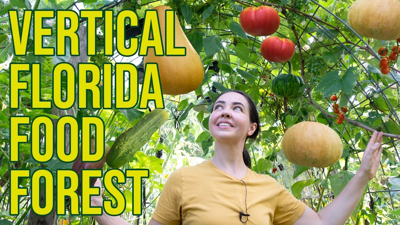 Trellis Gardening for Small Florida Backyards