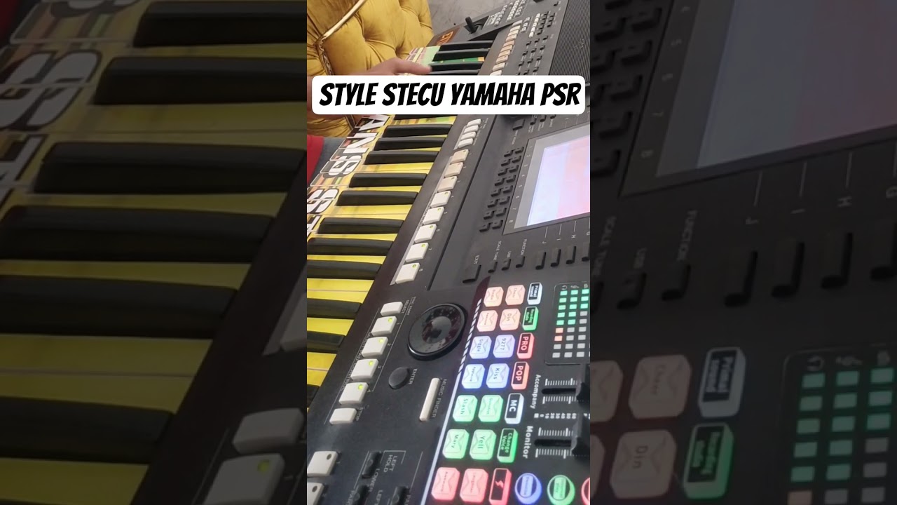 Style Stecu Yamaha Psr A2000