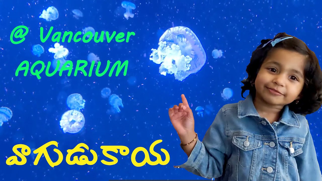 This was the best fish at Aquarium | Vancouver | @vagudukaya