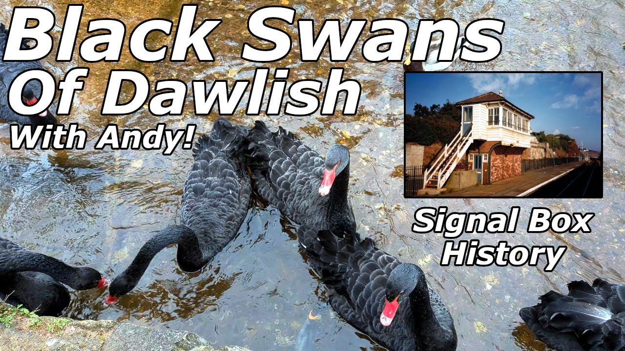 Frozen Fingers & Forgotten History: Dawlish Signal Box & More – 07/02/25