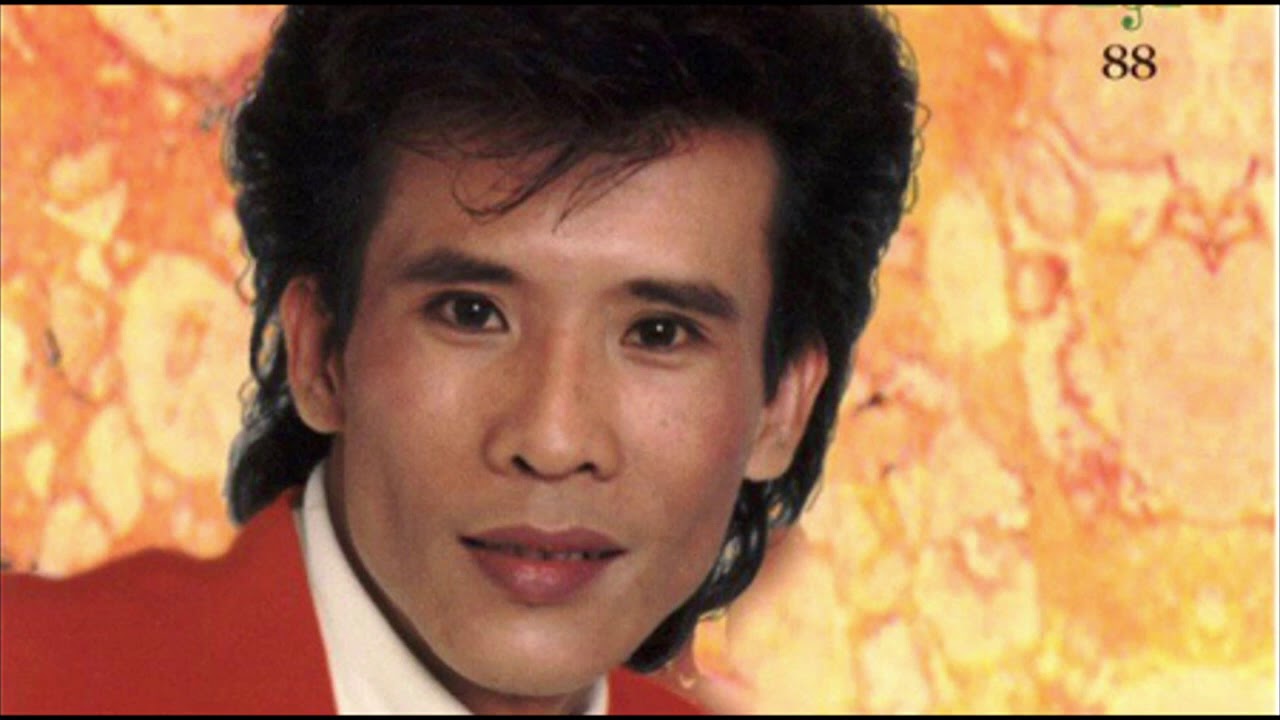 BÀI CA KỶ NIỆM  - TUẤN VŨ