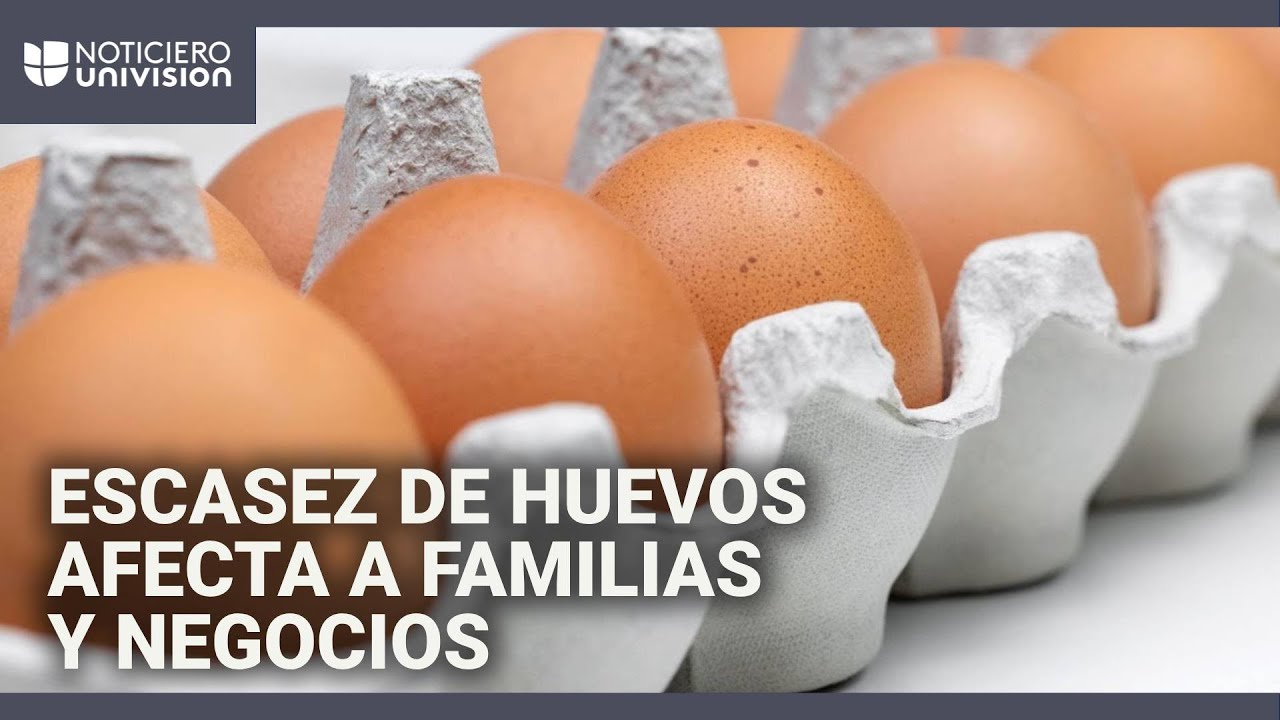 Escasez de huevos en EEUU: supermercados limitan la cantidad que venden a cada cliente