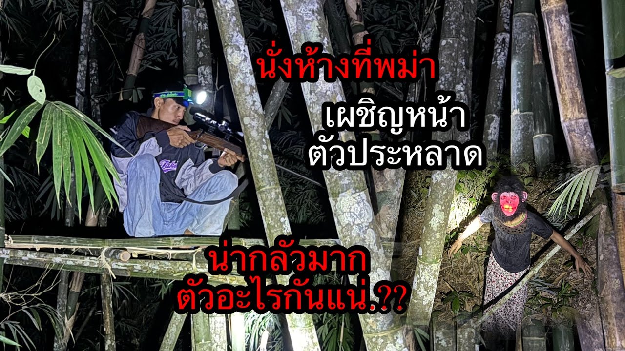 นั่งห่างรัฐกะเหรี่ยง“เจอตัวไรไม่รู้รีบยิงเข้าให้.?