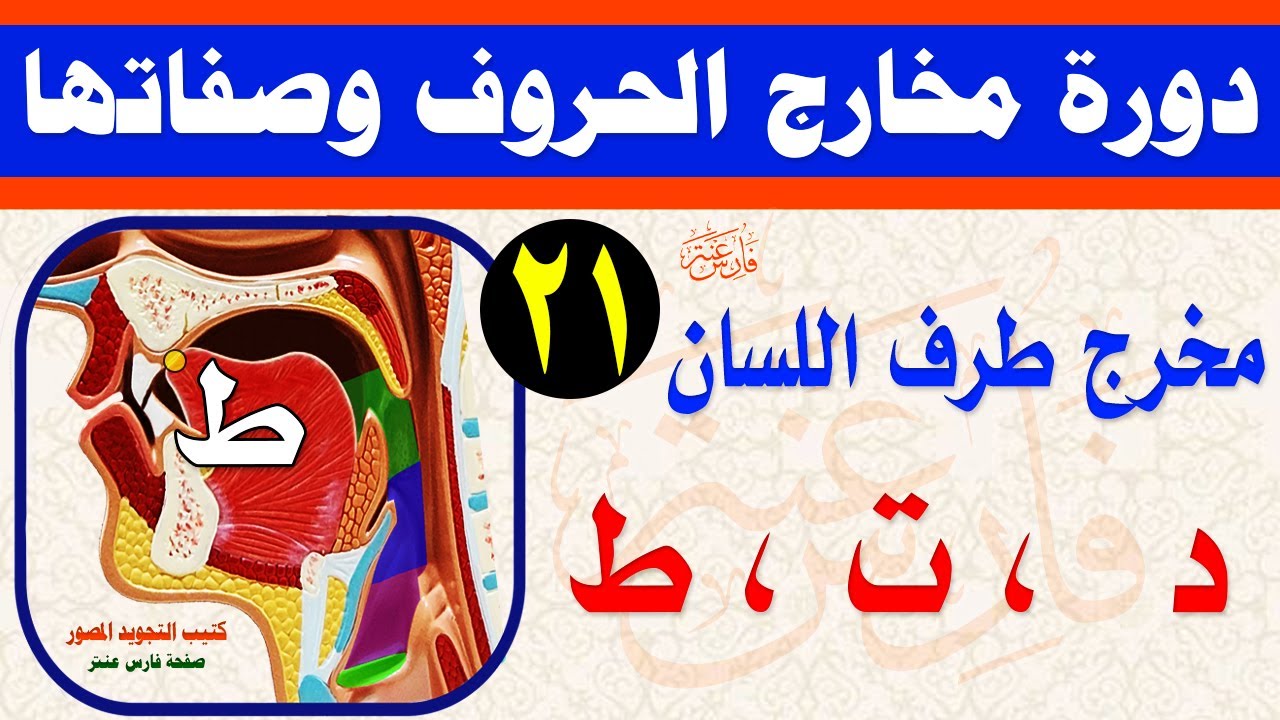 مخرج اللسان الحروف النطعية (د / ت / ط) طرف اللسان دورة المخارج والصفات