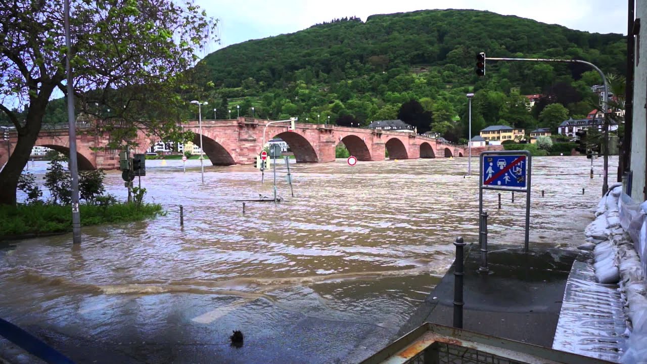 Hochwasser des Neckar bei Heidelberg | 02. Juni 2013 | Alte Brücke | Altstadt | Staustufe