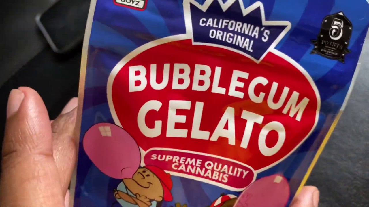 BUBBLEGUM GELATO 🍧 STRAIN REVIEW &bull; Backpack Boyz &bull; Golden Drip 🔥