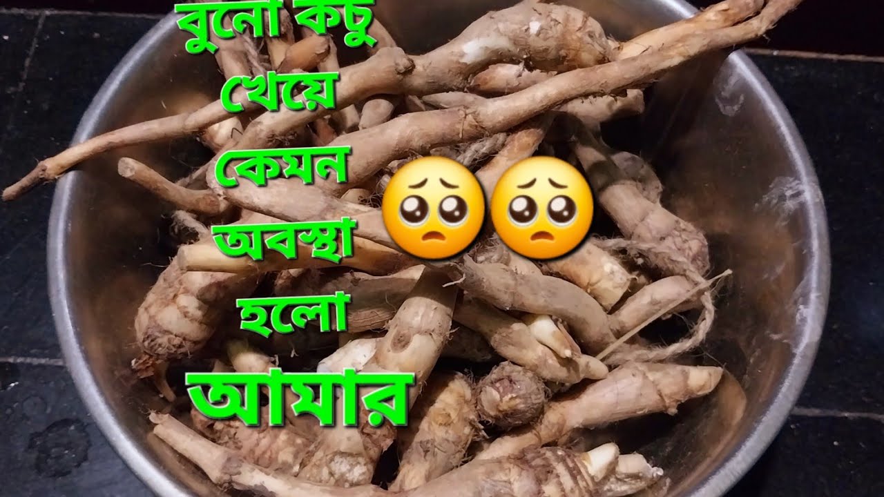 বুনো কচু রান্না 🥹🥹দেশী কচুর মুখি দিয়ে ডাল রান্না | গ্রাম্য স্টাইলে গাটি কচুর ডাল রেসিপি |