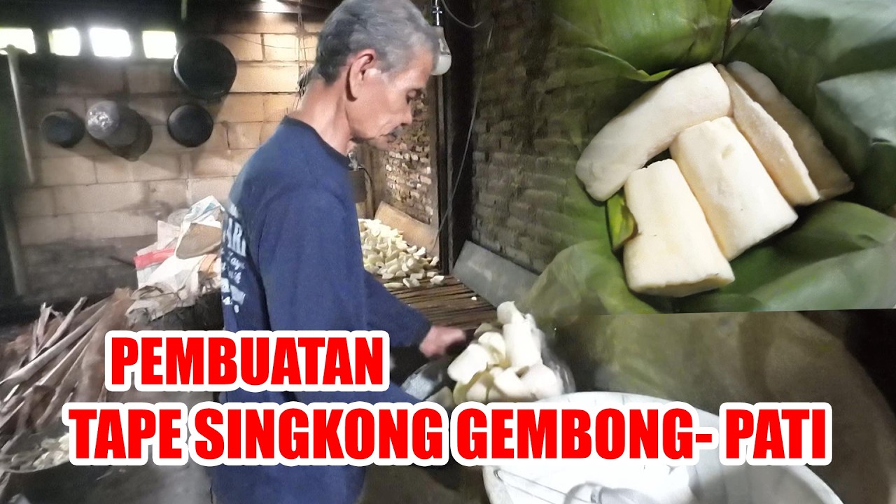 BEGINI CARA PEMBUATAN TAPE SINGKONG YANG LEGEND DAERAH GEMBONG PATI PERBATASAN KUDUS || PAK SLAMET