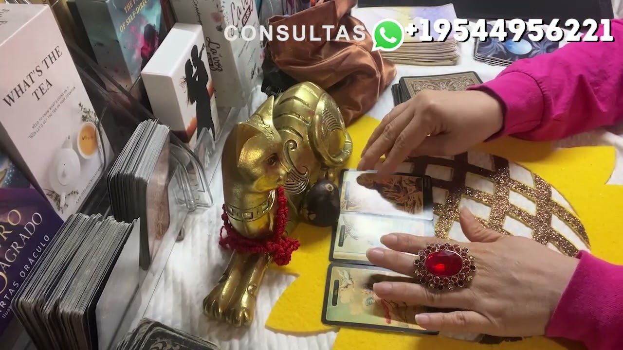 LA AGONÍA DE UN HOMBRE QUE TE PERDIÓ Y HOY SE ARRASTRA EN SU DOLOR 😫 #viral #tarot #karma #viral 