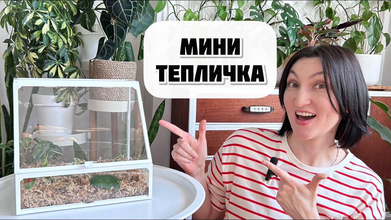 Я говорю 