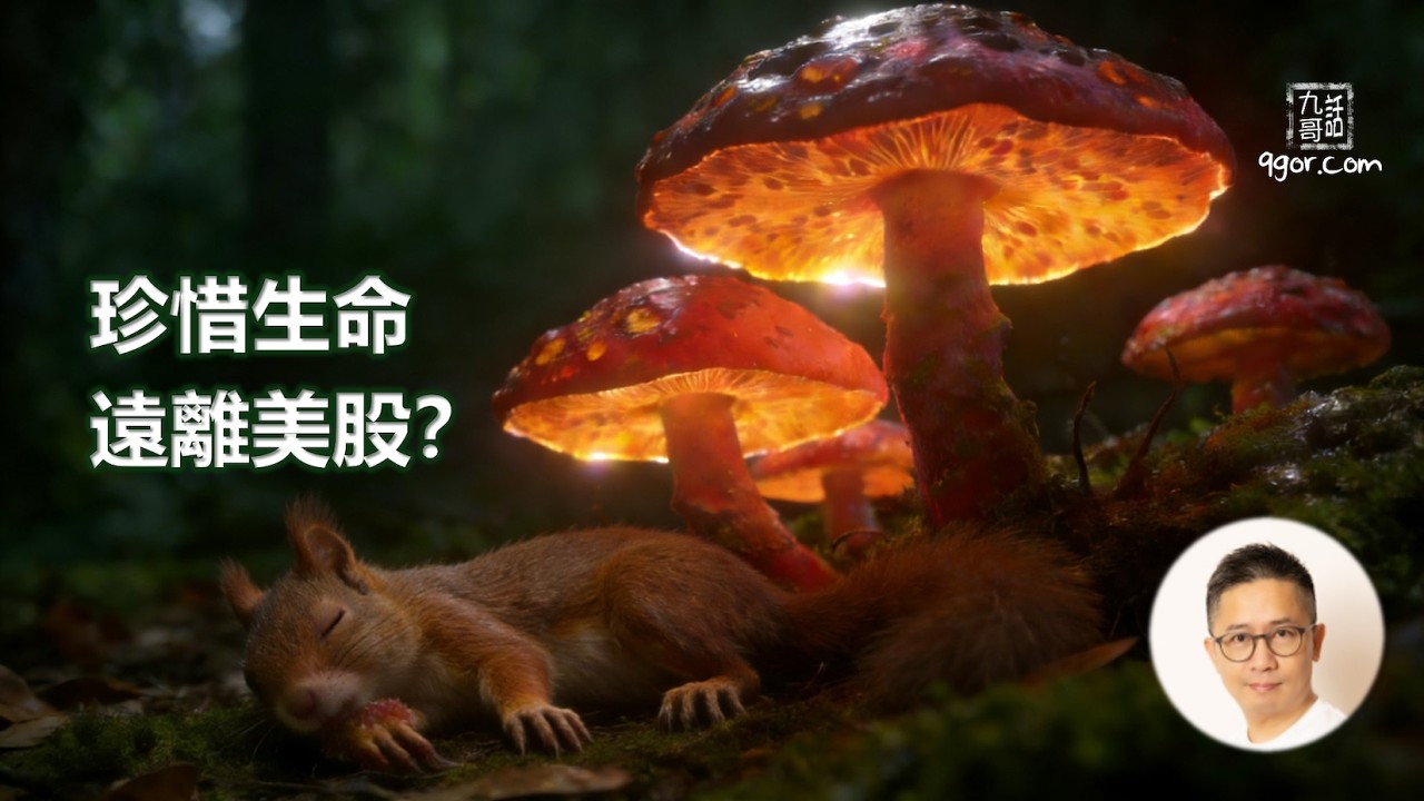 [九哥話] 2026-02-14【股災來了】珍惜生命 遠離美股？