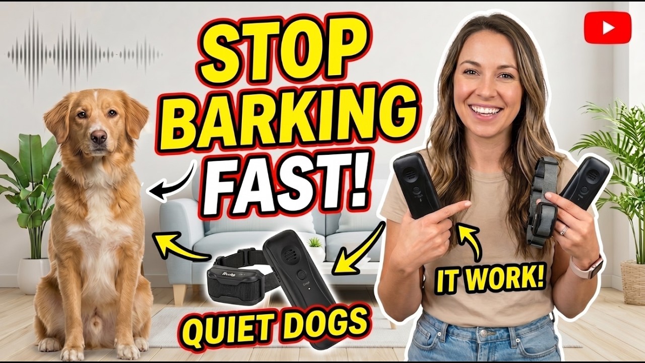 6 Best Anti Dog Barking Devices 2026! Finally, Peace and Quiet