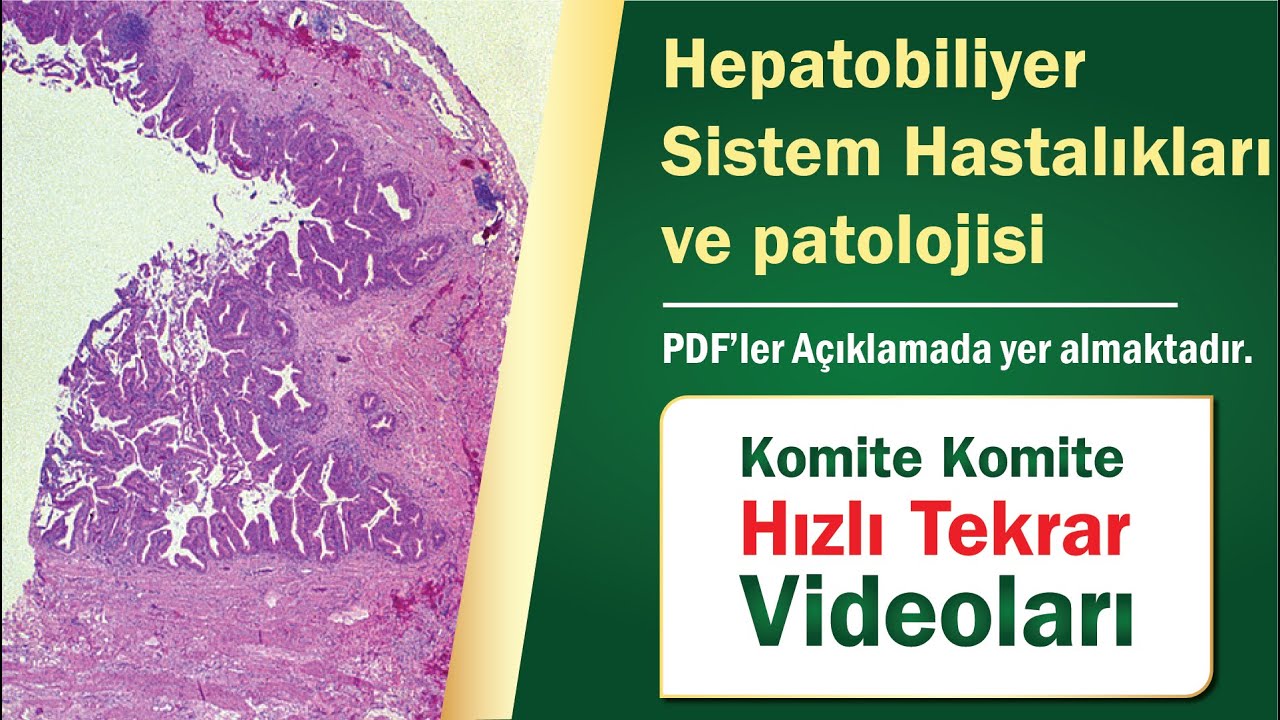 20 |  Hepatobiliyer Sistem hastalıkları ve patolojisi- Hızlı Tekrar