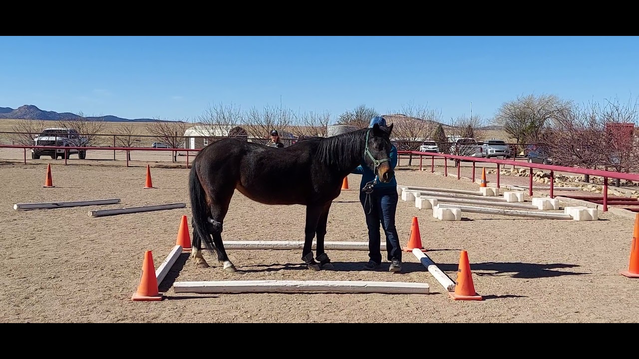 PATH ESMHL Horsemanship Test