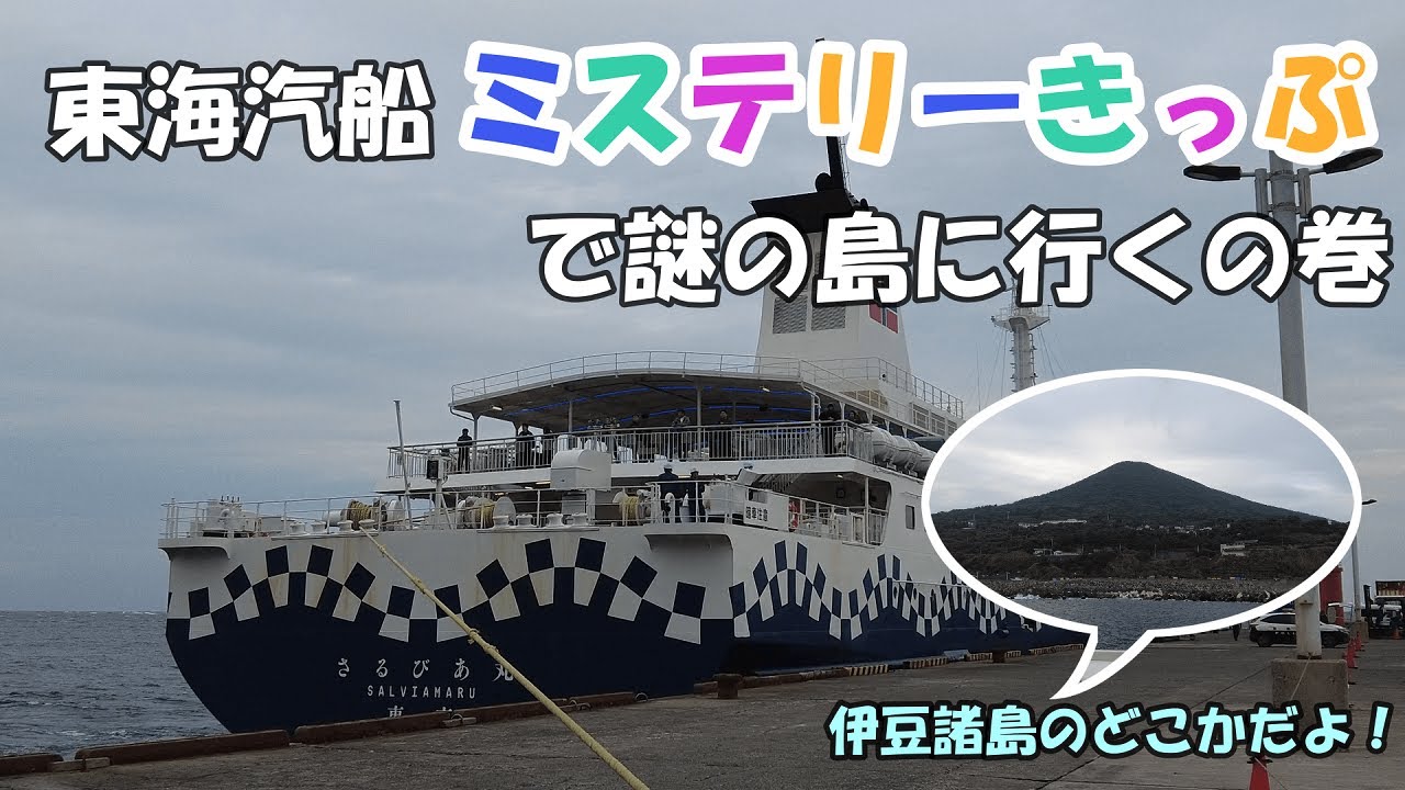 東海汽船 
