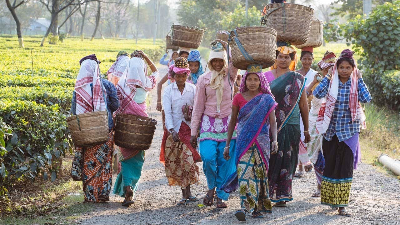 Weltmissionssonntag 2019 | Der Nordosten Indiens - das unbekannte Indien | missio