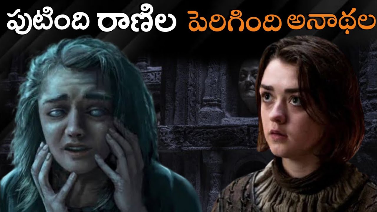 I Explained Arya Stark Story In Books | A Song Of Ice And Fire | HBO max