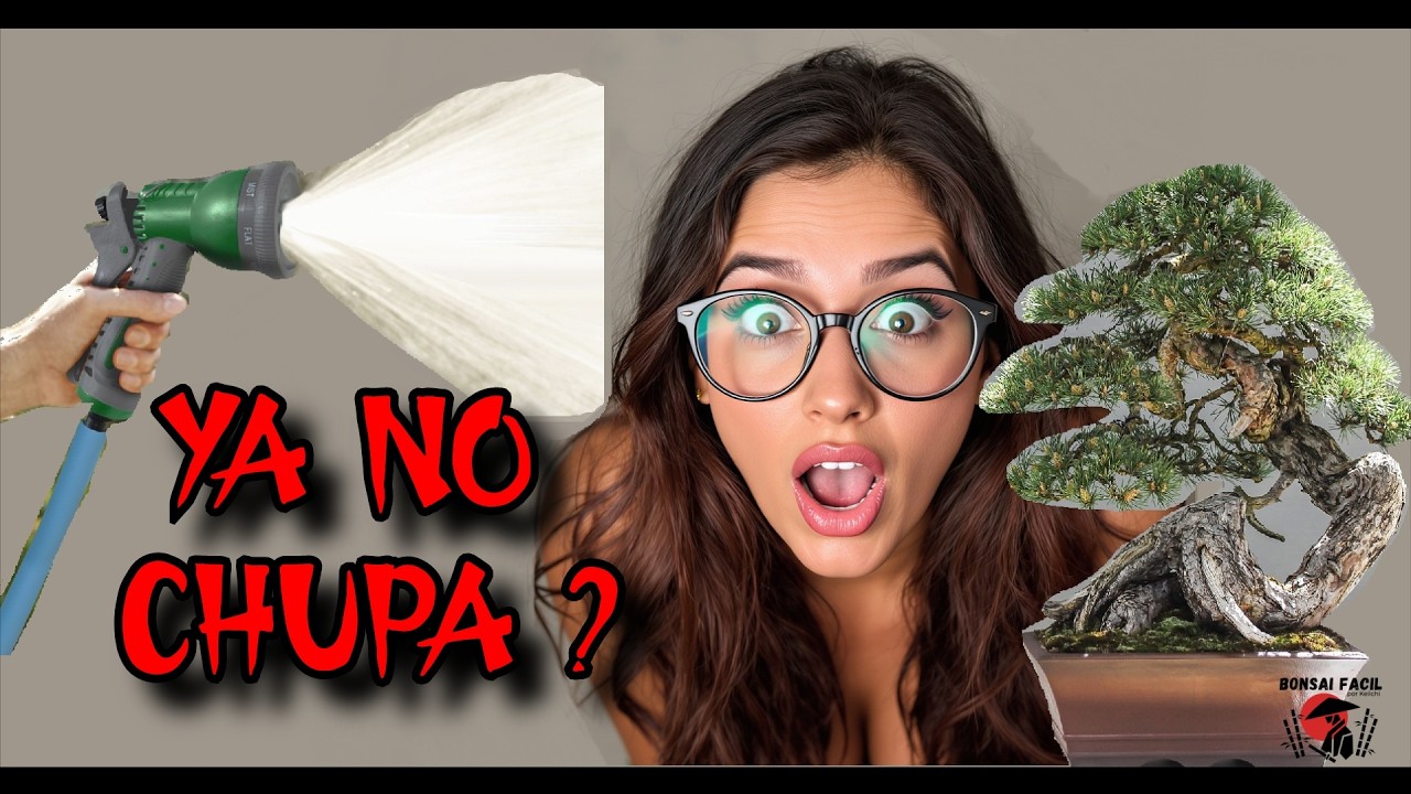No la chupa como te gusta? TIPS & Consejos