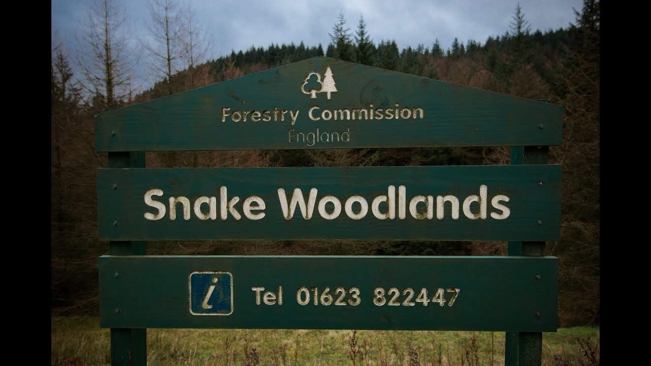 Peak District - Snake Woodlands