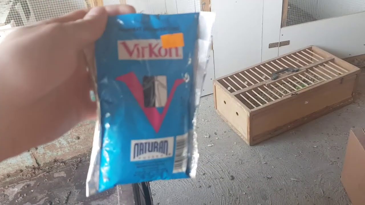 Dokładne sprzątanie i dezynfekcja kurnika! Krok po Kroku
