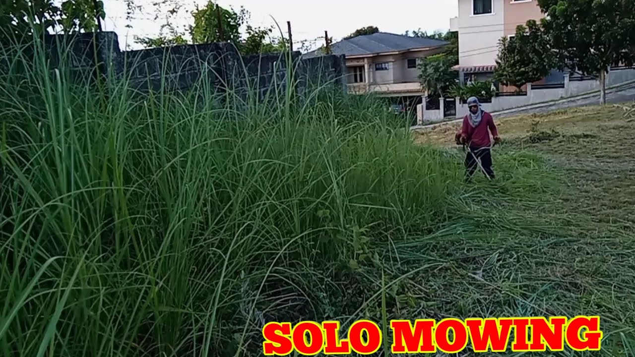 MOWING extremely Overgrown GRASS - SOLO MOWING// Brush cutting