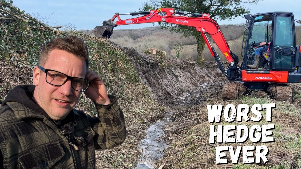The Worst Hedge I have Ever Banked! How I Cast a Devon Hedge.
