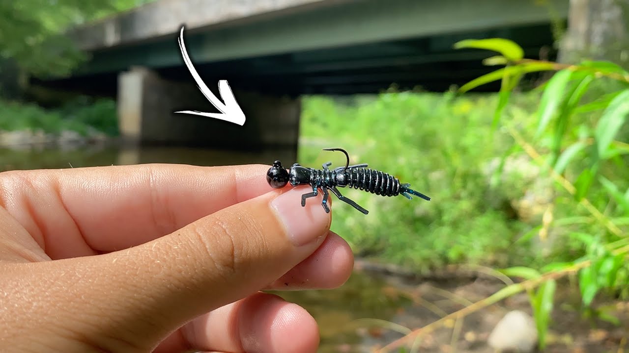 This TINY Fishing lure started a FRENZY!!