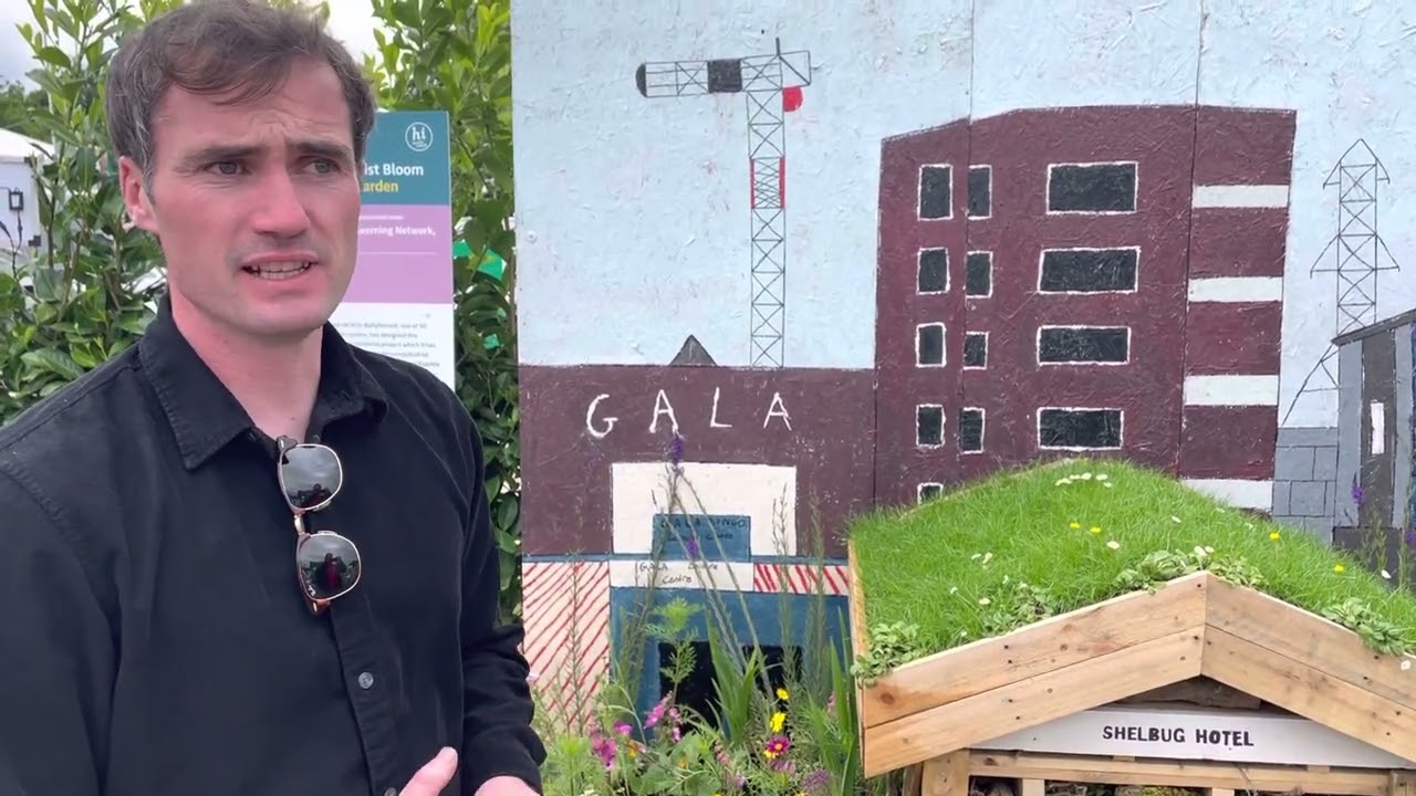 NLN Ballyfermot supportive learning courses:  Shelbug Hotel Postcard Garden