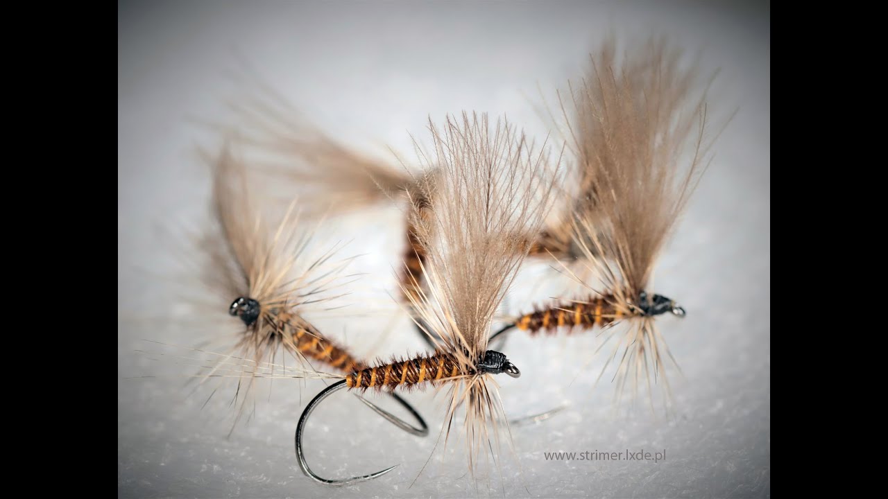 March Brown dry fly         #StayHome #ZostańWDomu #UkręćMuchę