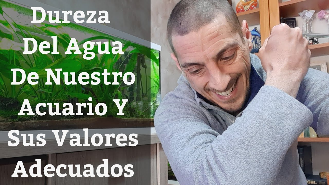 🔵 Dureza Del Agua 