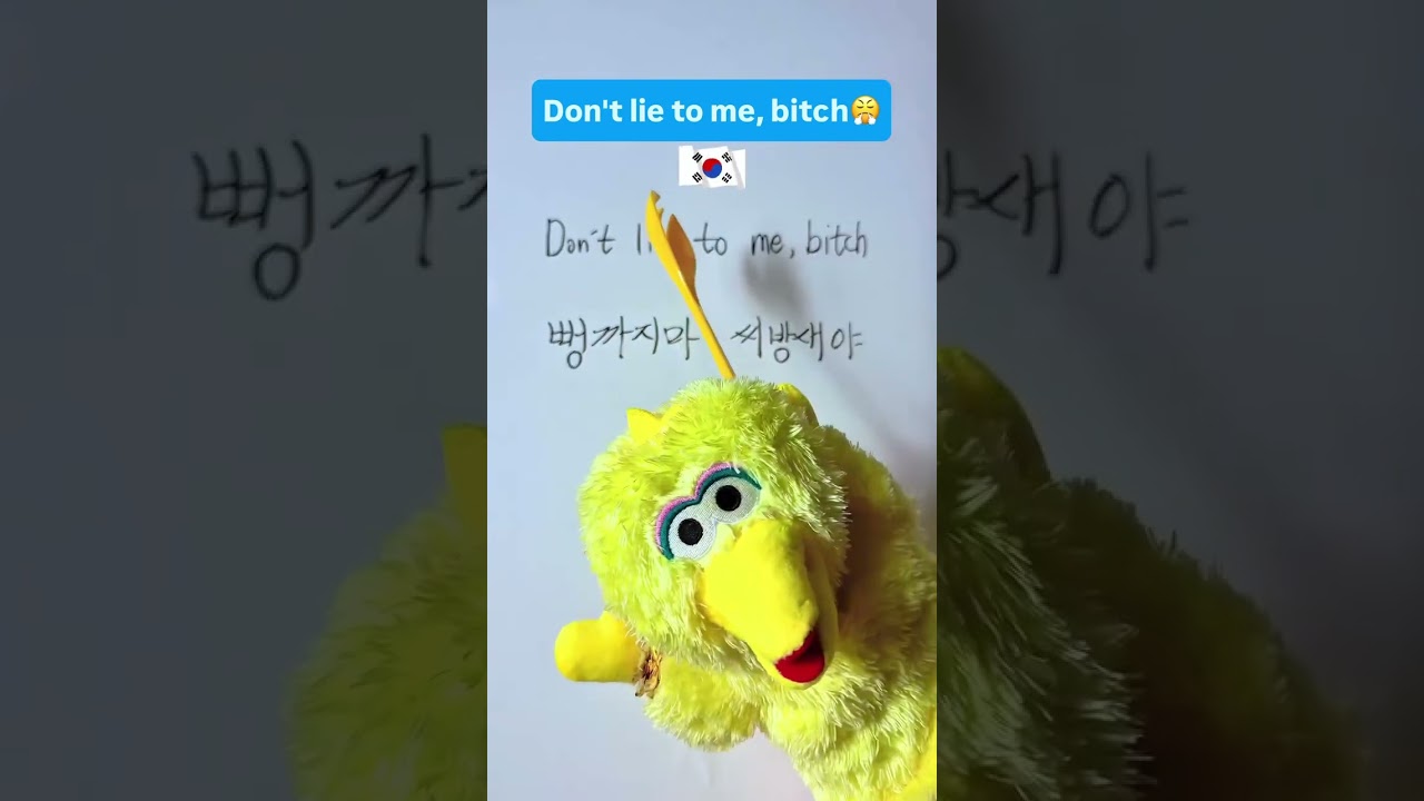 😤 &ldquo;Don't lie to me, bitch&rdquo; in Korean? #learnkorean #koreanlanguage #koreanpractice