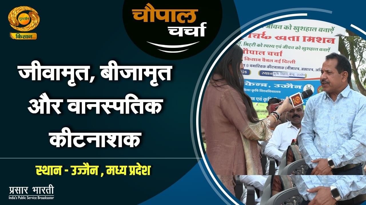 चौपाल चर्चा : जीवामृत, बीजामृत और वानस्पतिक कीटनाशक | Chaupal Charcha | Feb. 11, 2026