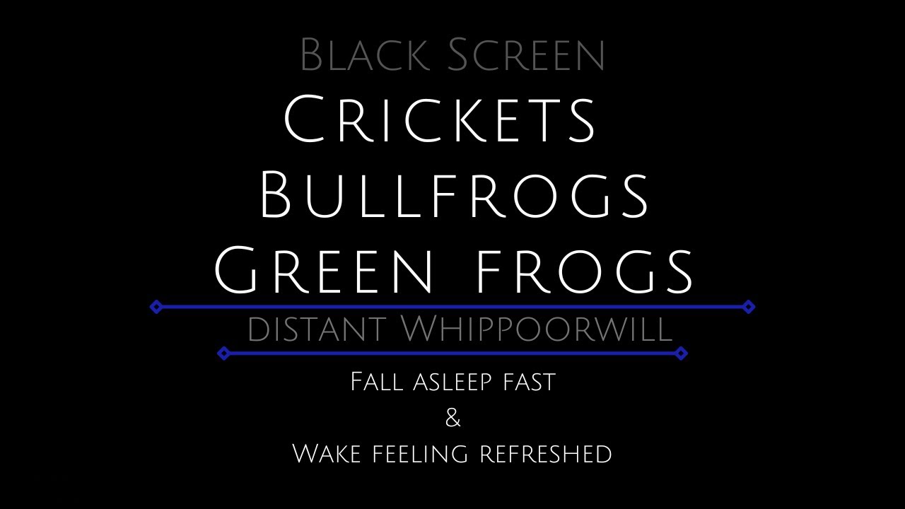 10 Hours - Crickets - Bullfrogs - Green Frogs - Whippoorwill - Nature Sounds - Creek - Pond - Stream