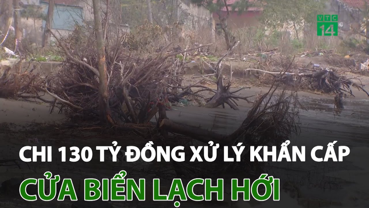 Thanh Hóa: Chi 130 tỷ đồng xử lý khẩn cấp cửa biển Lạch Hới | VTC14