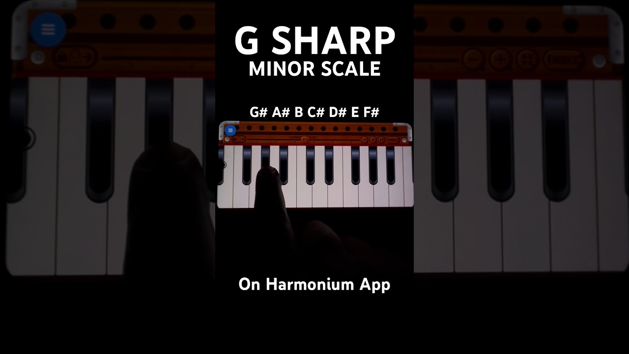 G Sharp Minor Scale On Harmonium #shortsyoutube #pianolessons #keyboardlessons #harmoniumtutorial