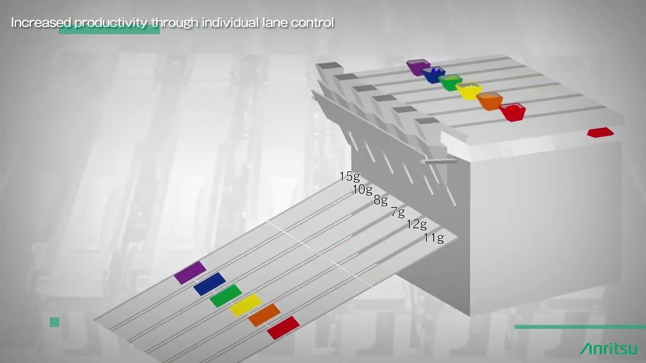 Multi-lane Checkweigher Overview