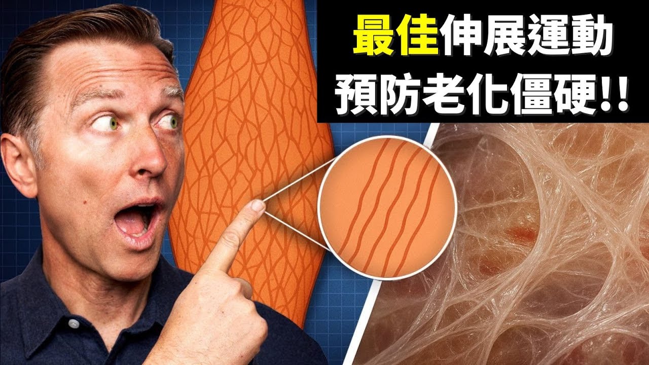 最佳伸展筋膜,能消炎、助眠、不僵硬! 減壓！自然療法,柏格醫生 Dr Berg