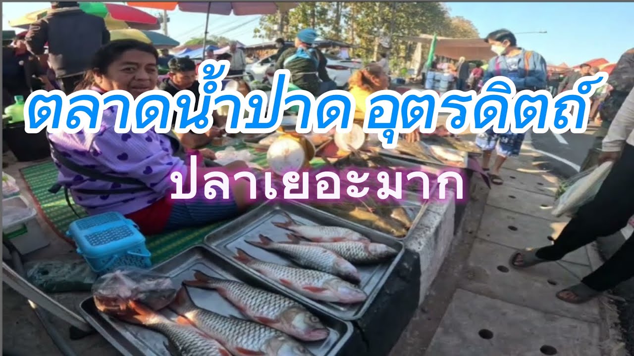 เดินซื้อของตลาดน้ำปาดยามเช้า ปลาเยอะมาก