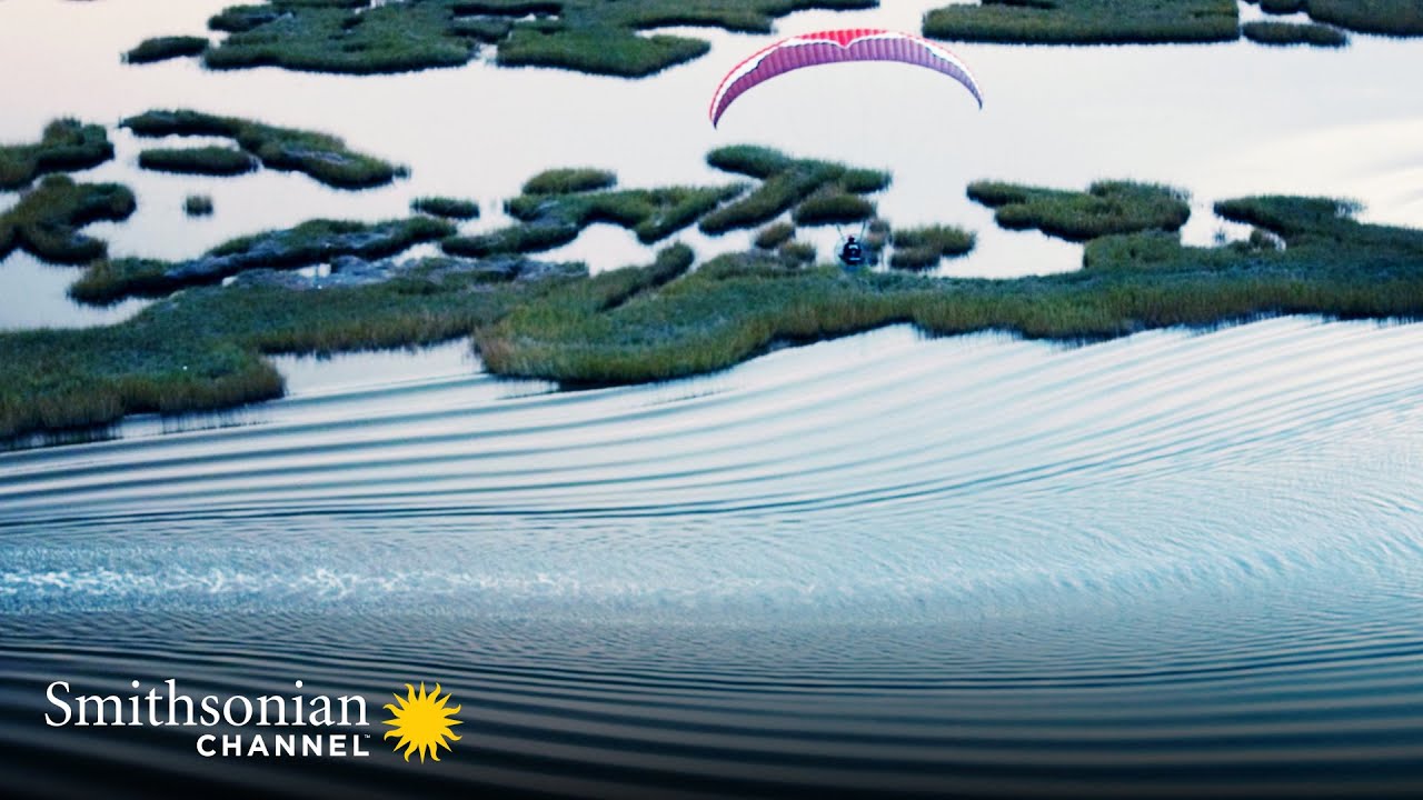 Then & Now: Louisiana’s Bayou 🌎 Smithsonian Channel