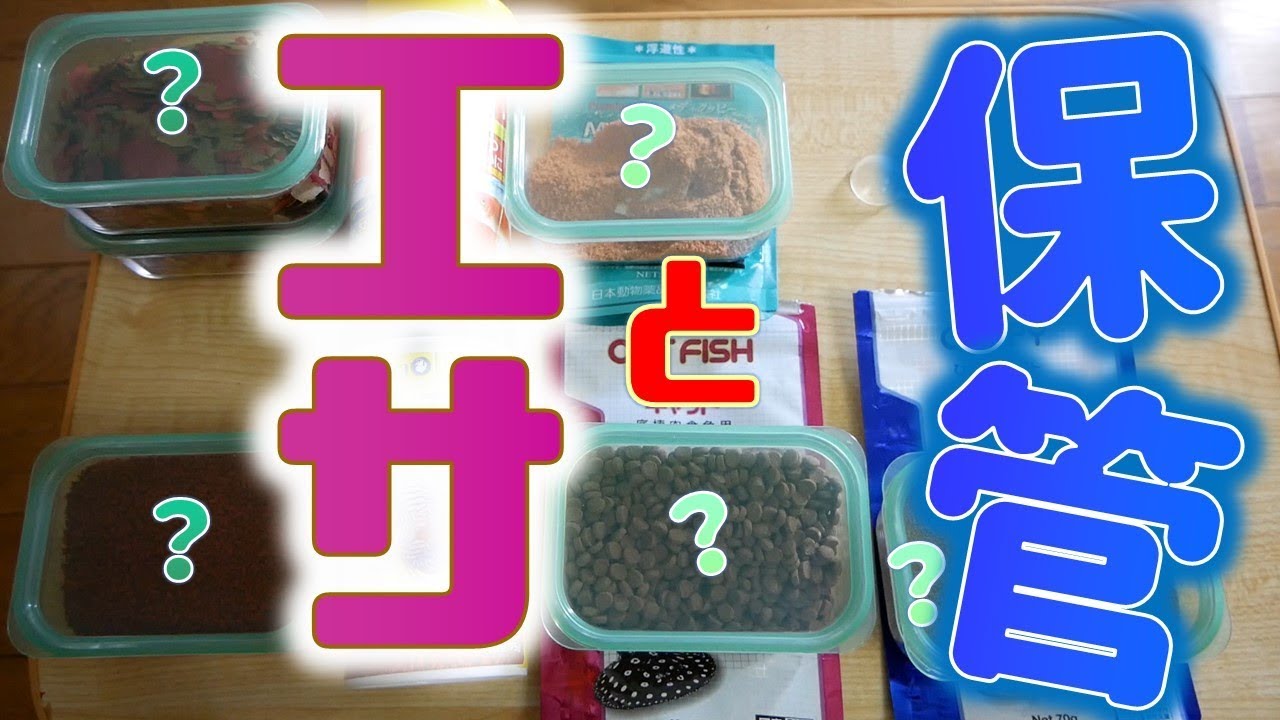 【エサと保管】劣化した餌は危険だぜ。餌の特徴を超絶解説！コレさえあればもう何もいらない。【ふぶきテトラ】
